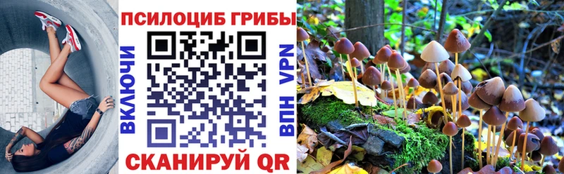 Псилоцибиновые грибы мицелий  Купить где  Конаково 