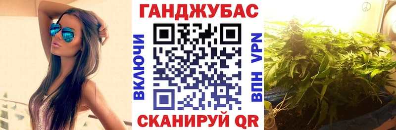 Купить  Конаково  Бошки Шишки план 